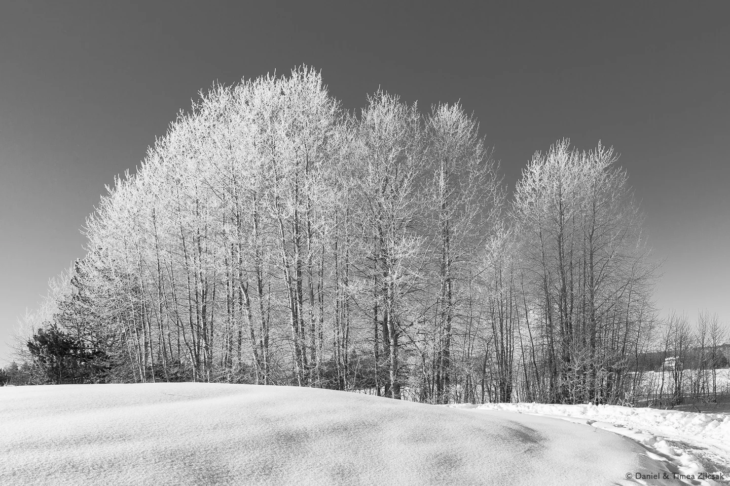 Winter Landscapes - The Zilcsaks